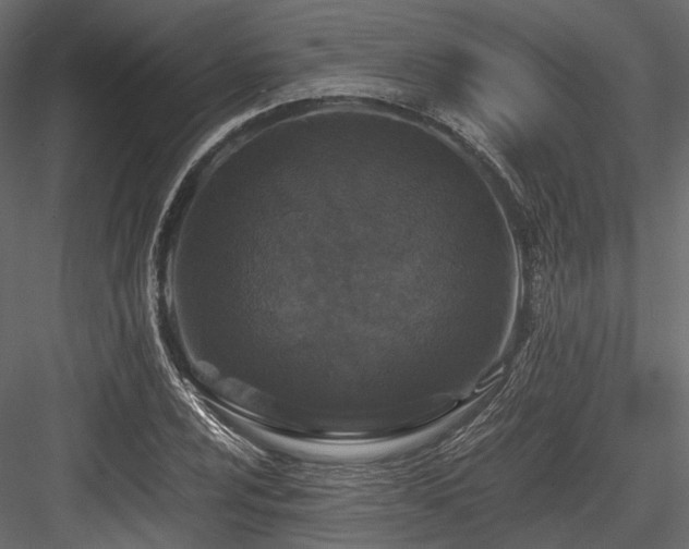X0000084551024200702231159