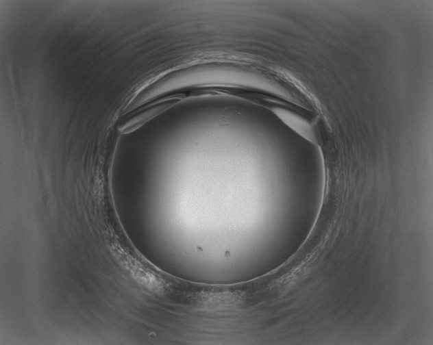 X0000084551025200702231159