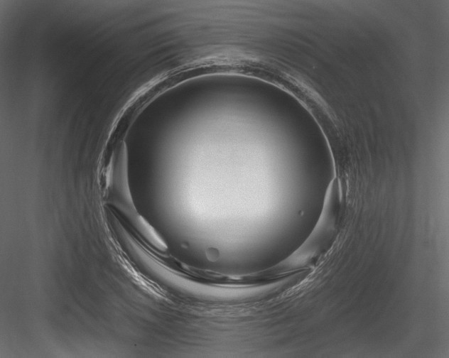 X0000084551026200702231159