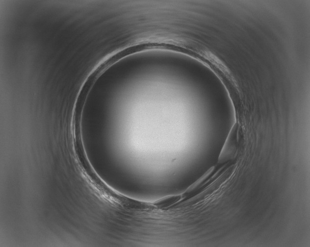 X0000084551028200702231159