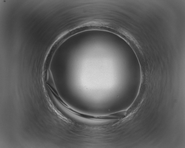 X0000084551029200702231159