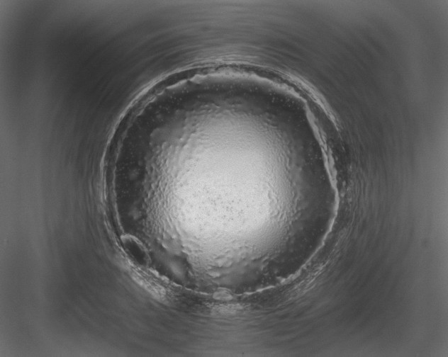 X0000084551031200702231159