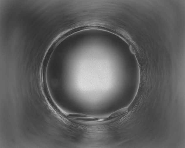 X0000084551032200702231159