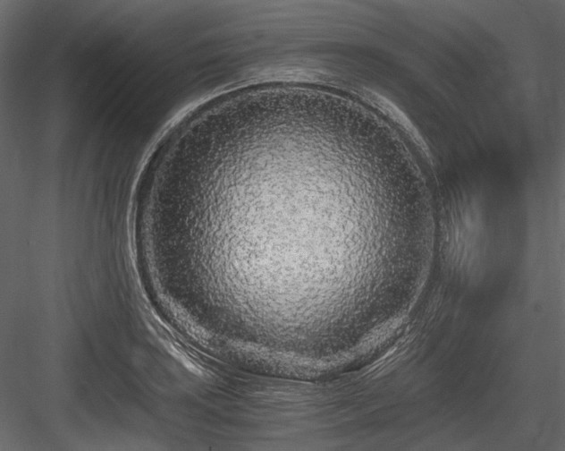 X0000084551035200702231159