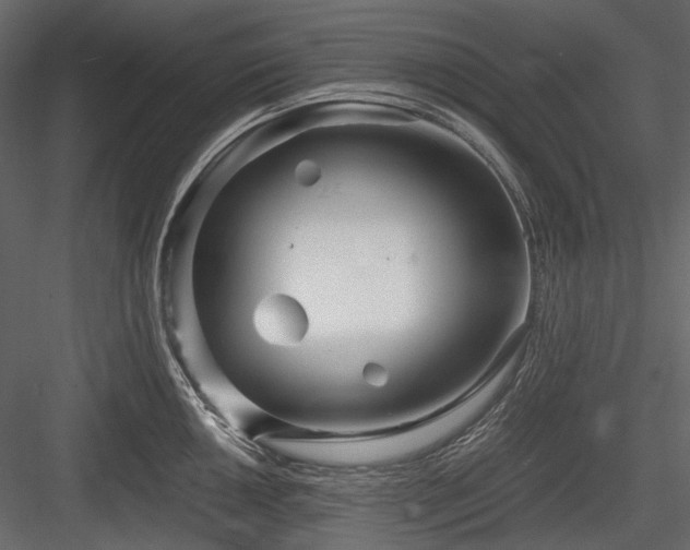X0000084551050200702231159