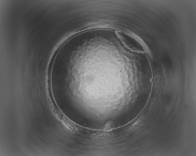 X0000084551051200702231159