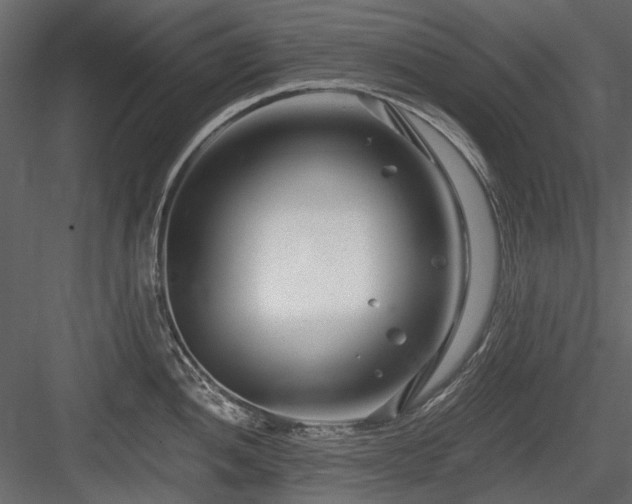 X0000084551052200702231159