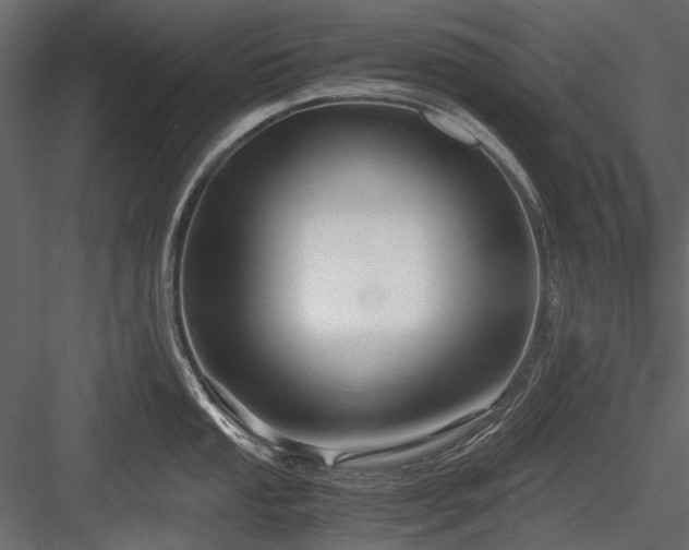 X0000084551053200702231159