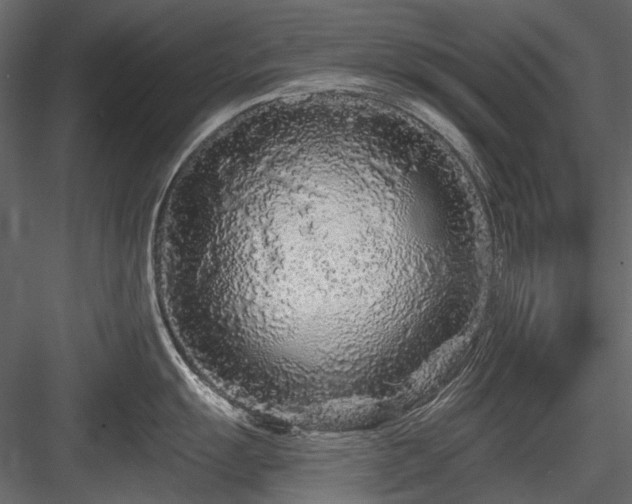 X0000084551055200702231159