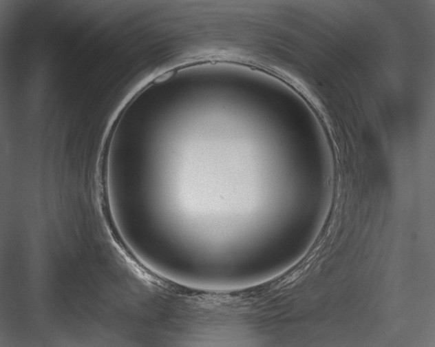 X0000084551056200702231159