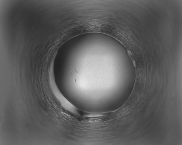 X0000084551057200702231159