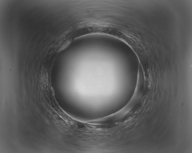 X0000084551061200702231159