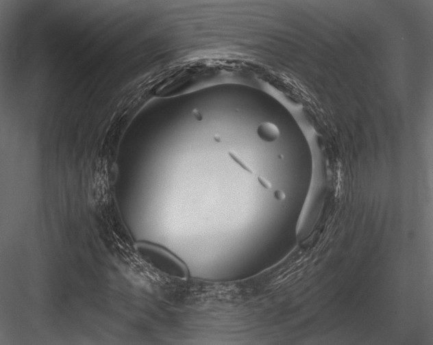 X0000084551062200702231158