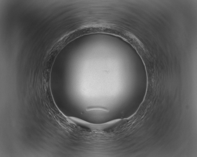 X0000084551064200702231158
