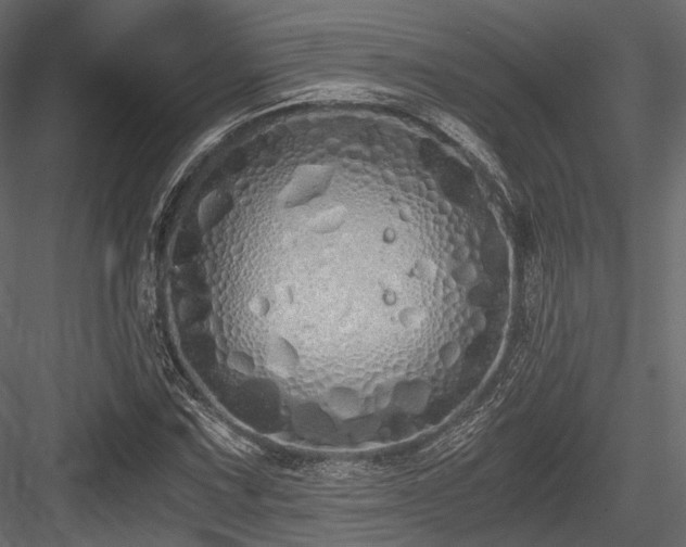 X0000084551067200702231158