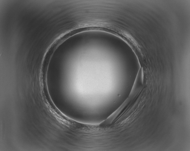 X0000084551072200702231158