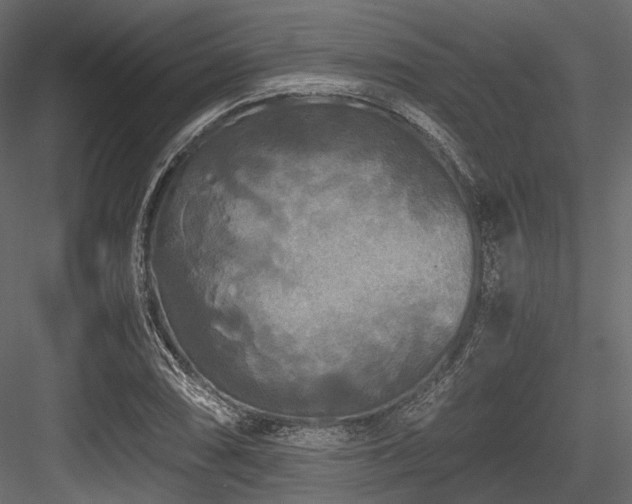 X0000084551074200702231158