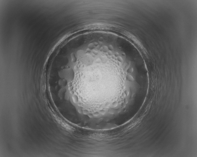 X0000084551075200702231158