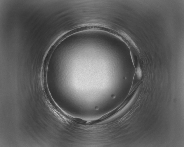 X0000084551076200702231158