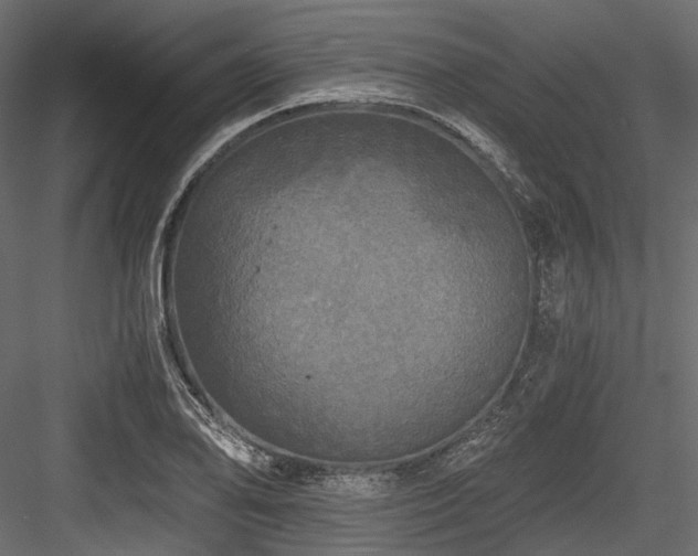 X0000084551078200702231158