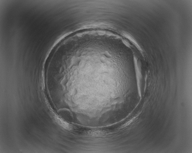 X0000084551079200702231158