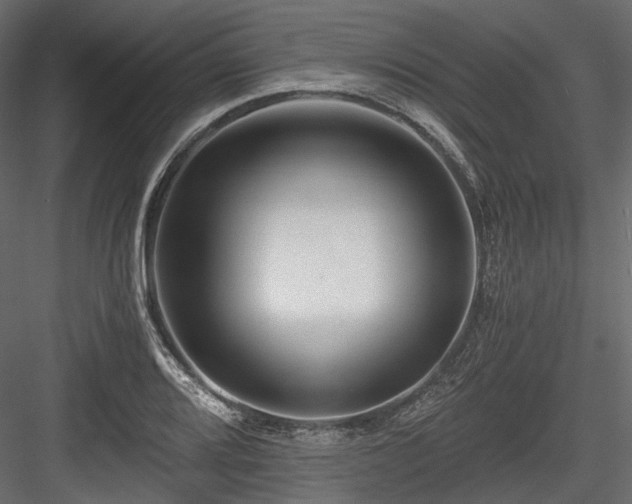 X0000084551080200702231158
