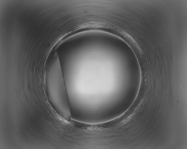 X0000084551081200702231158