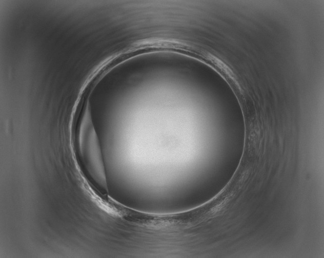 X0000084551082200702231158