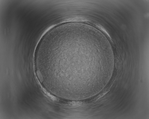 X0000084551087200702231158