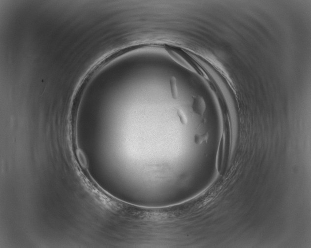 X0000084551088200702231158
