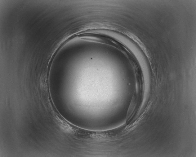 X0000084551089200702231158