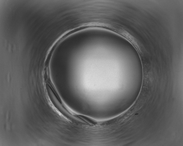 X0000084551092200702231158