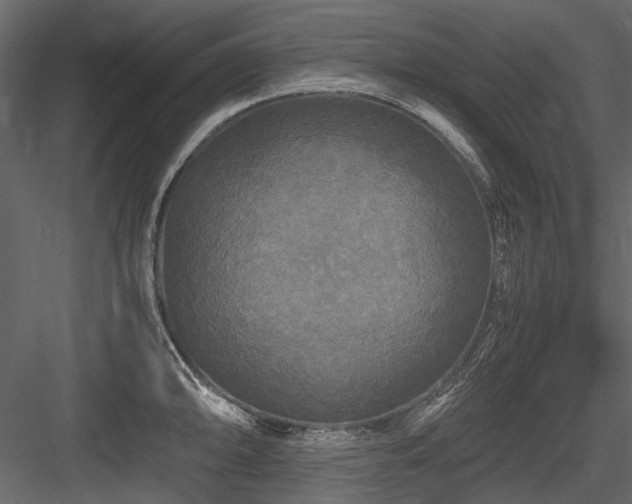 X0000084551094200702231158