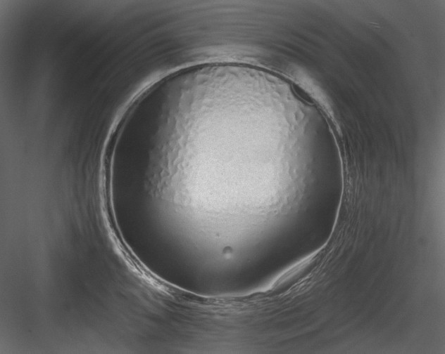 X0000084551096200702231158