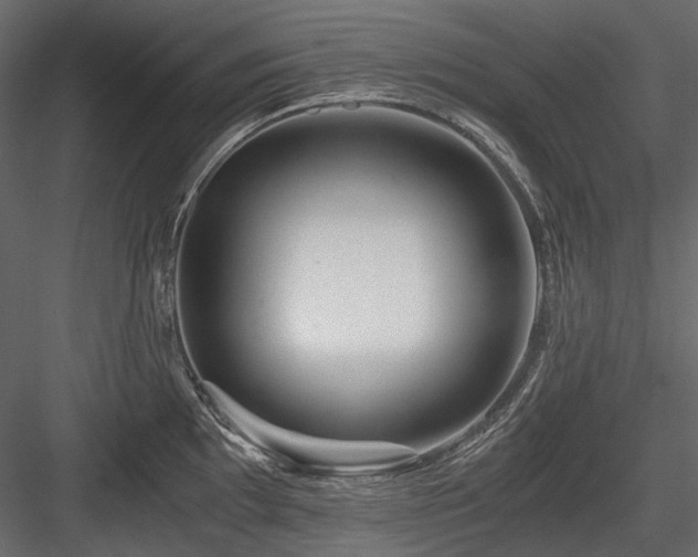 X0000084551097200702231158