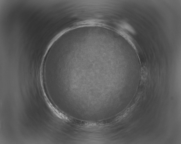X0000084551098200702231158