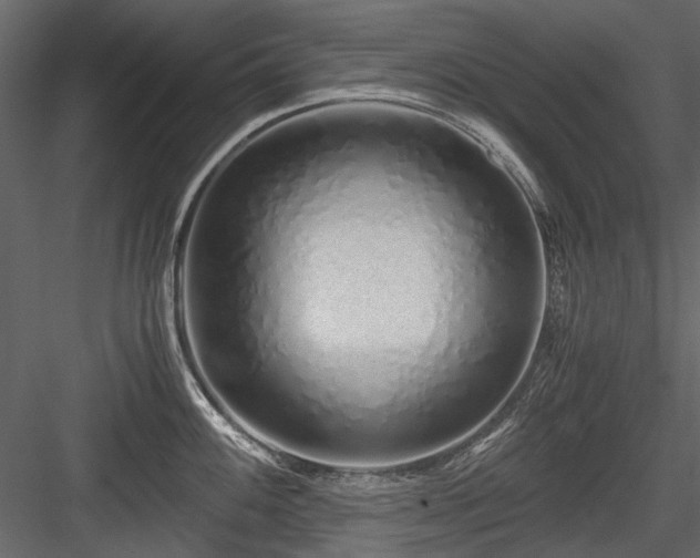 X0000084551100200702231158