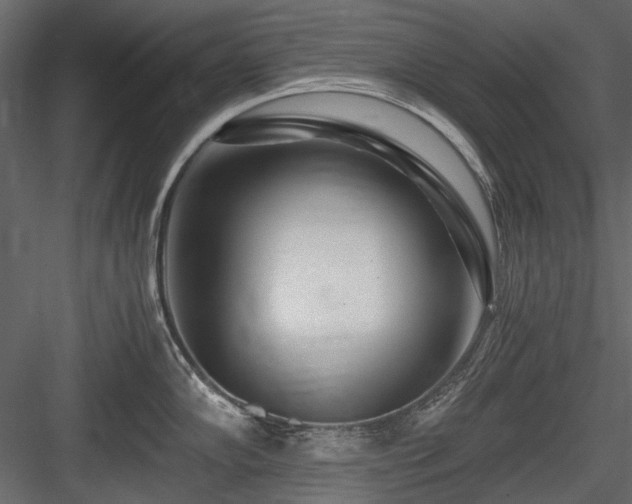 X0000084551102200702231158