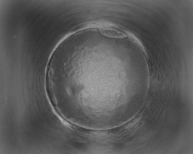 X0000084551103200702231158