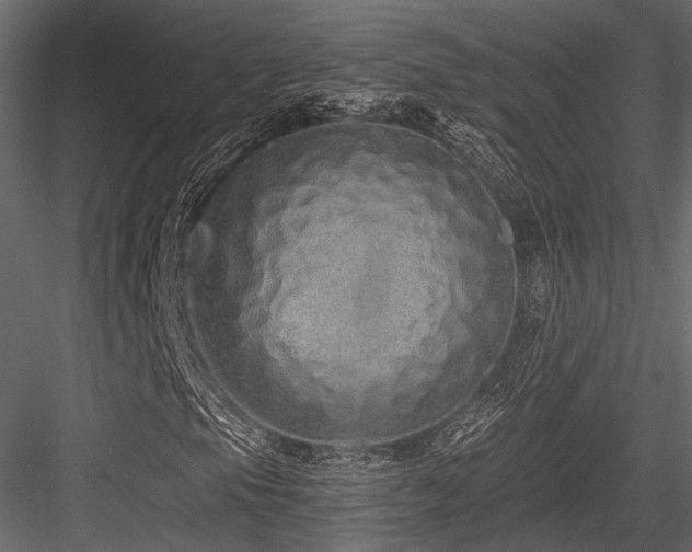 X0000084551105200702231157