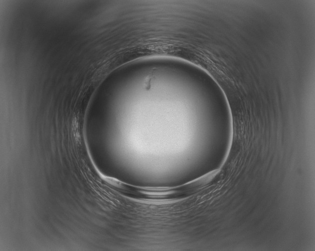 X0000084551106200702231157