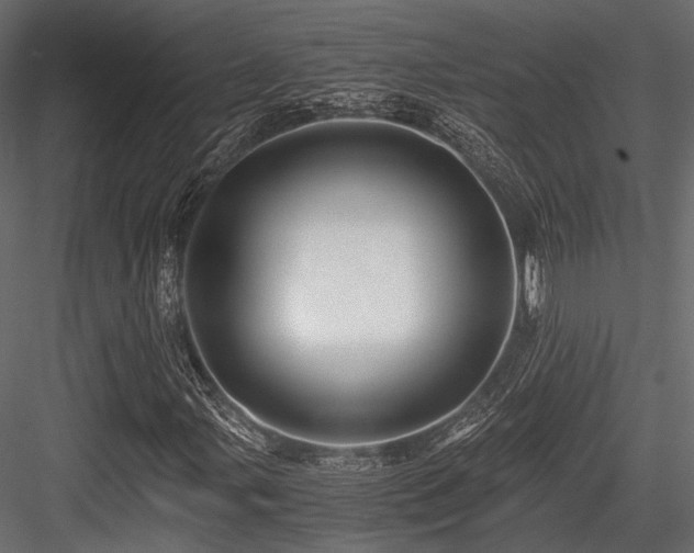 X0000084551107200702231157