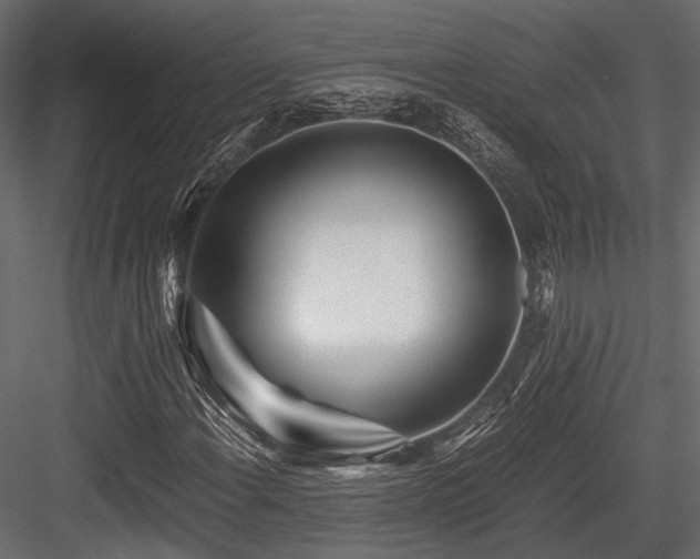 X0000084551108200702231157