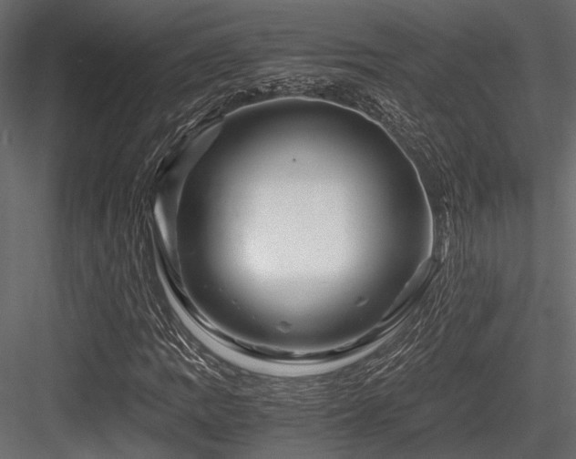 X0000084551109200702231157