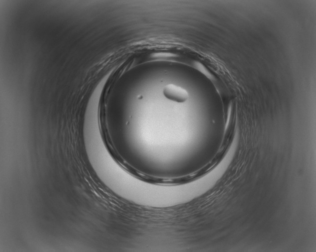 X0000084551110200702231157