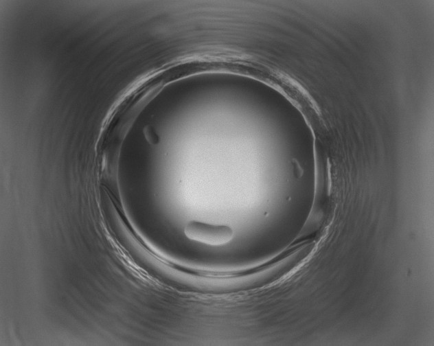 X0000084551114200702231157