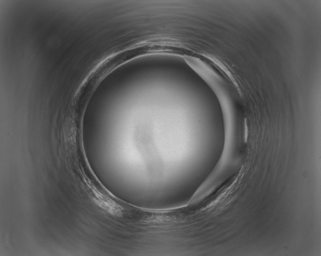 X0000084551115200702231157