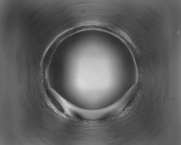 X0000084551116200702231157