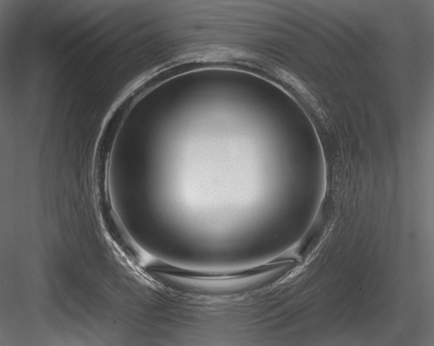 X0000084551122200702231157