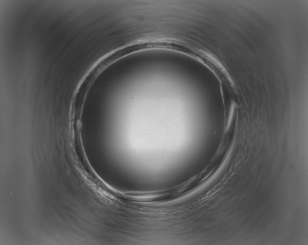 X0000084551124200702231157